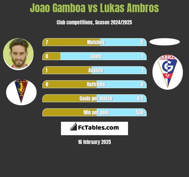 Joao Gamboa vs Lukas Ambros h2h player stats