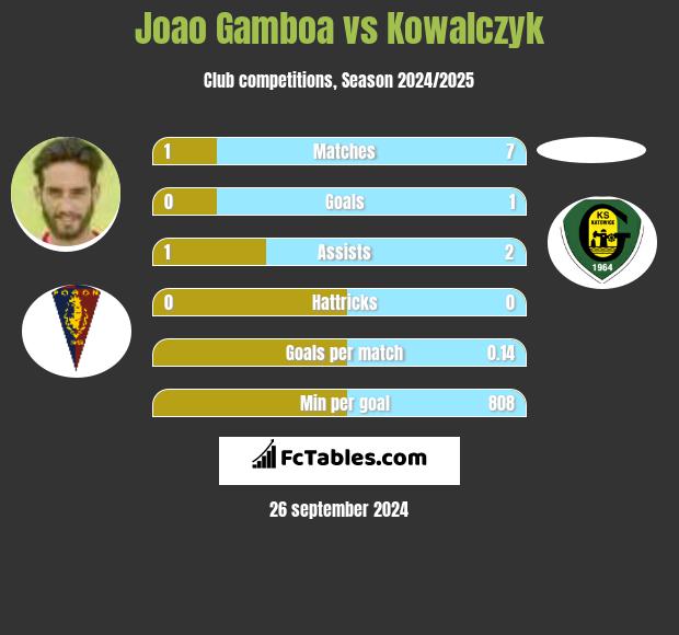 Joao Gamboa vs Kowalczyk h2h player stats