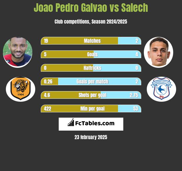 Joao Pedro Galvao vs Salech h2h player stats