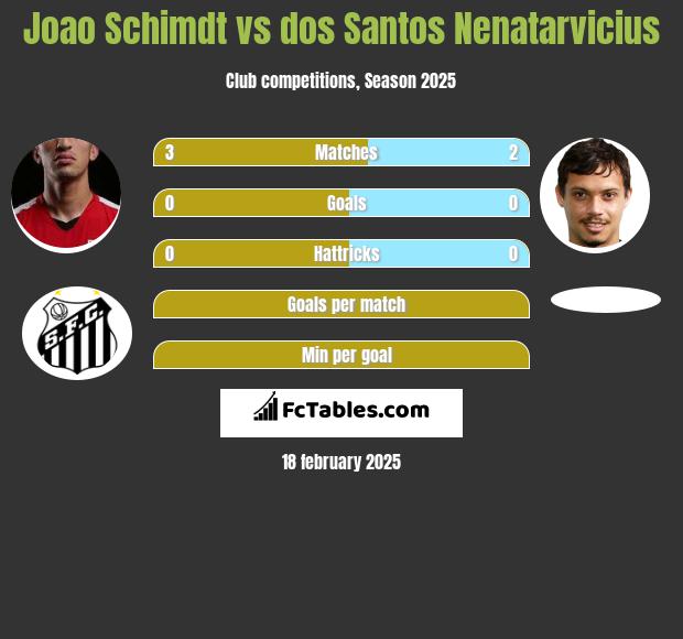 Joao Schimdt vs dos Santos Nenatarvicius h2h player stats