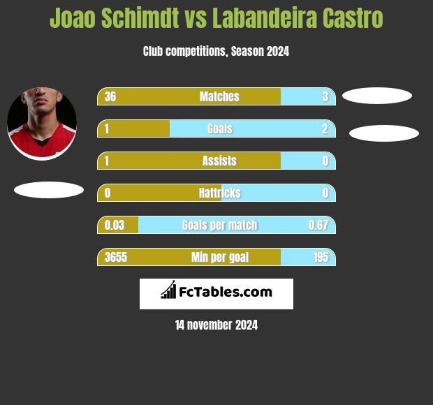 Joao Schimdt vs Labandeira Castro h2h player stats