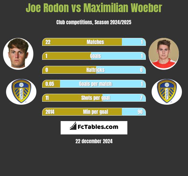 Joe Rodon vs Maximilian Woeber h2h player stats