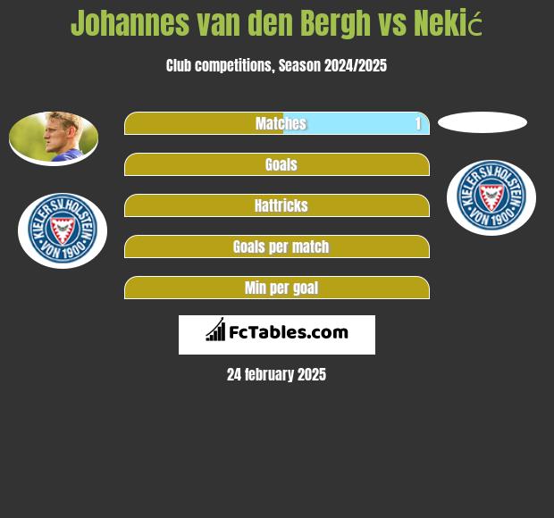 Johannes van den Bergh vs Nekić h2h player stats