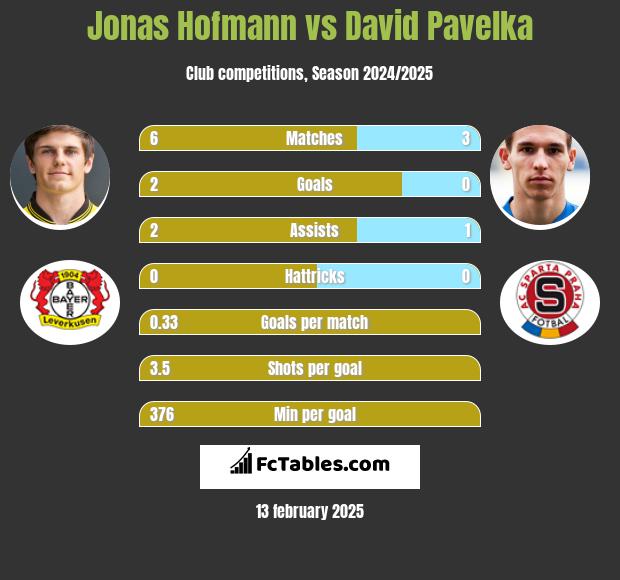 Jonas Hofmann vs David Pavelka h2h player stats