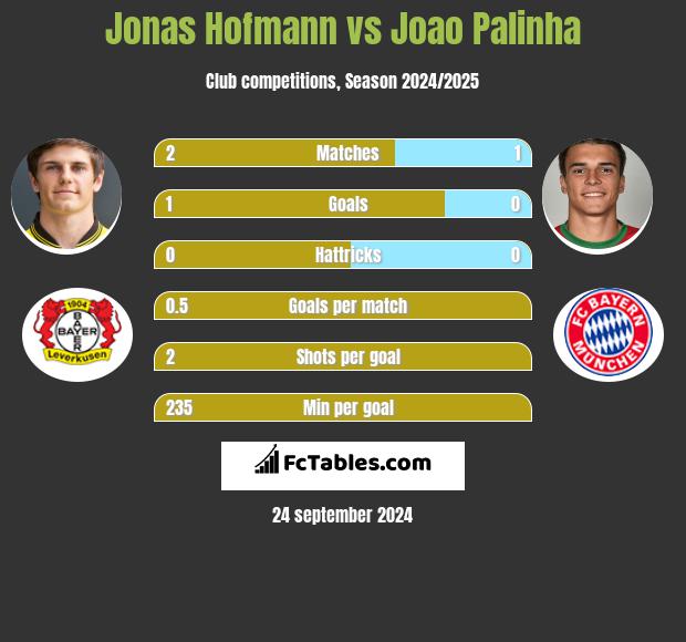 Jonas Hofmann vs Joao Palinha h2h player stats