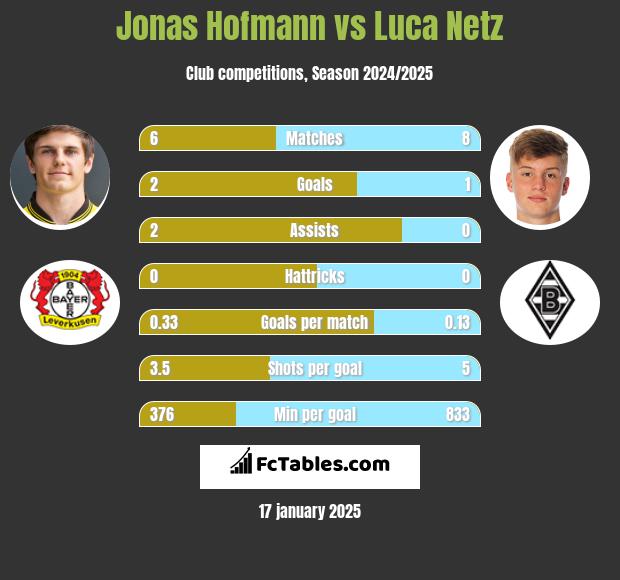 Jonas Hofmann vs Luca Netz h2h player stats