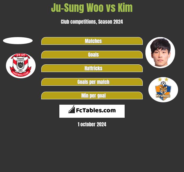 Ju-Sung Woo vs Kim h2h player stats