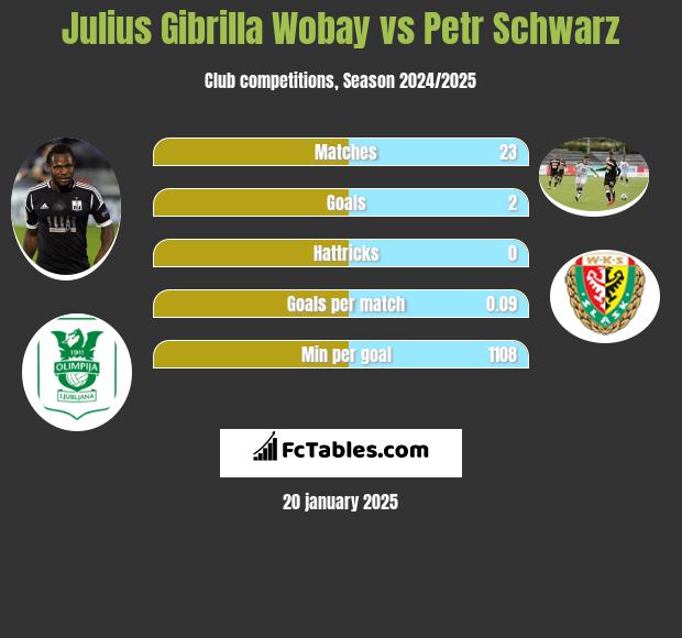 Julius Gibrilla Wobay vs Petr Schwarz h2h player stats