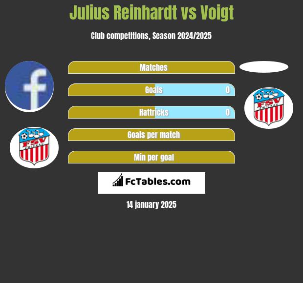 Julius Reinhardt vs Voigt h2h player stats