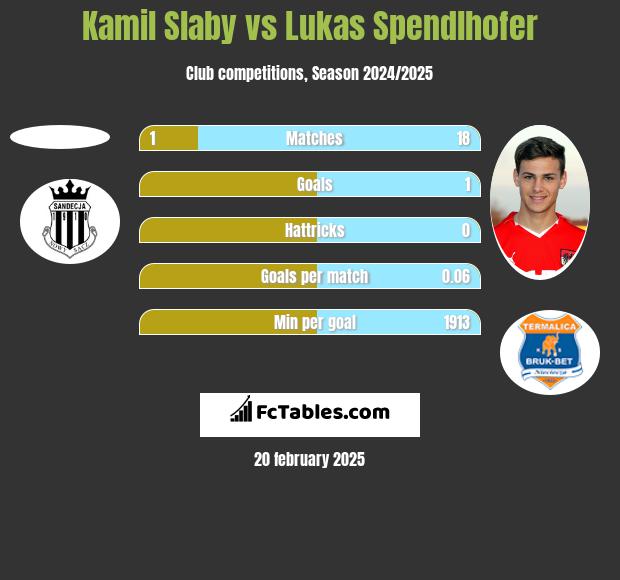 Kamil Slaby vs Lukas Spendlhofer h2h player stats