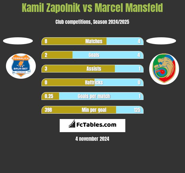 Kamil Zapolnik vs Marcel Mansfeld h2h player stats