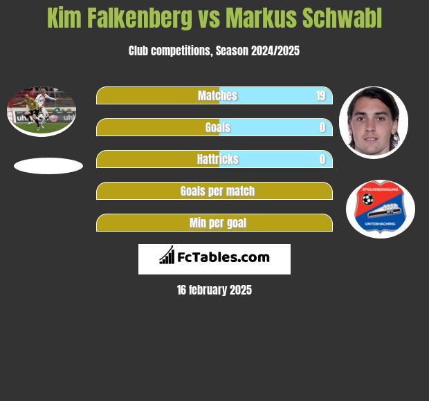 Kim Falkenberg vs Markus Schwabl h2h player stats