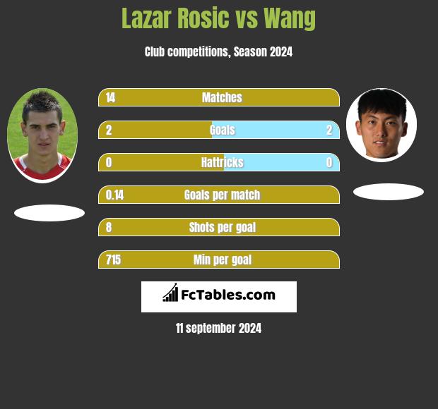 Lazar Rosic vs Wang h2h player stats