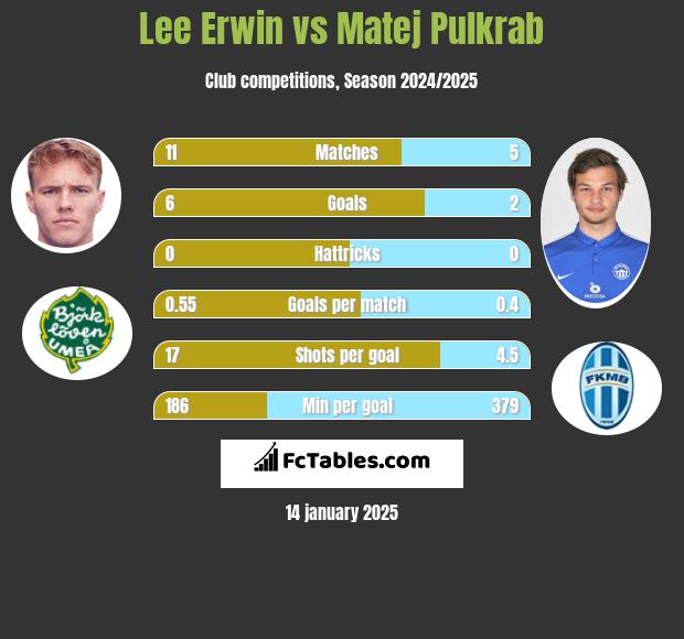 Lee Erwin vs Matej Pulkrab h2h player stats