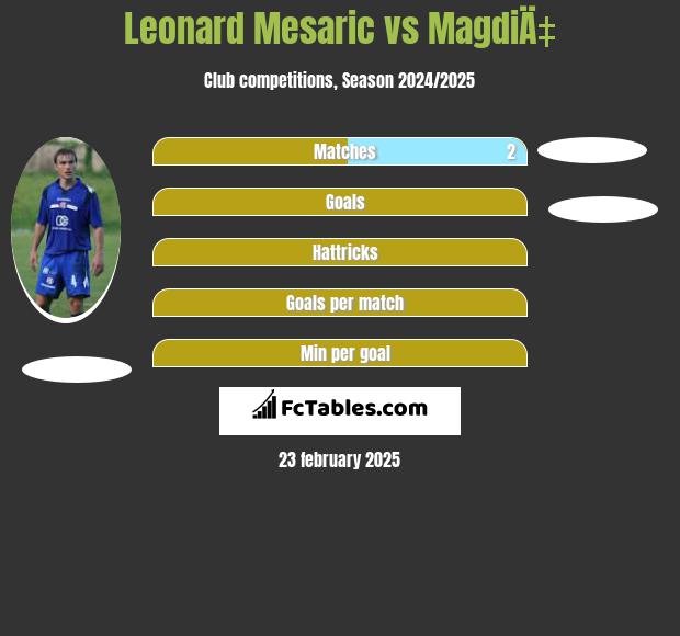 Leonard Mesaric vs MagdiÄ‡ h2h player stats