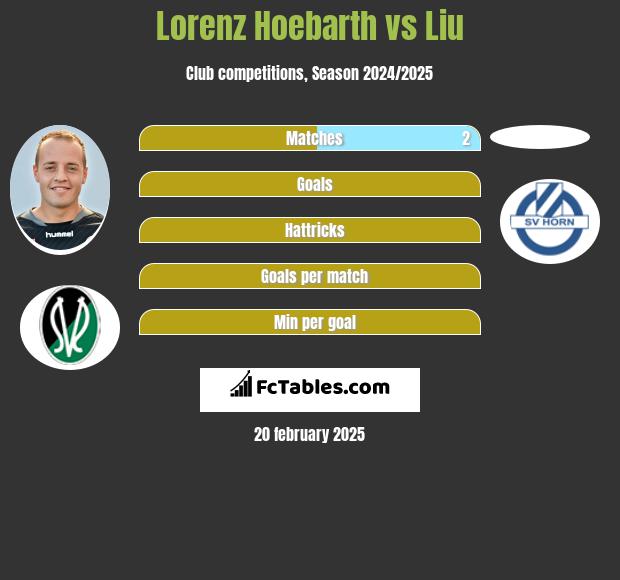 Lorenz Hoebarth vs Liu h2h player stats