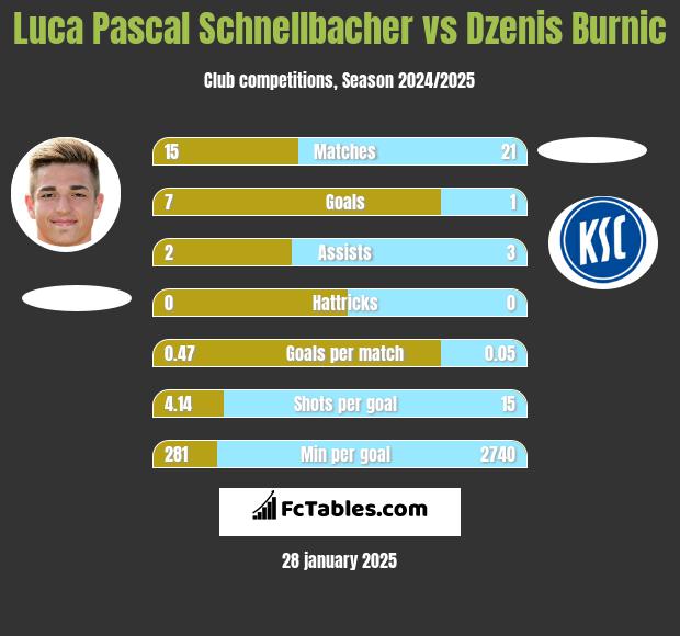 Luca Pascal Schnellbacher vs Dzenis Burnic h2h player stats