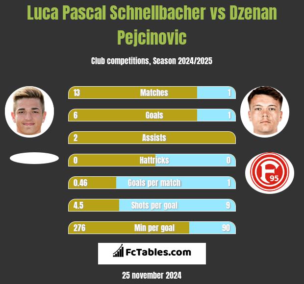 Luca Pascal Schnellbacher vs Dzenan Pejcinovic h2h player stats