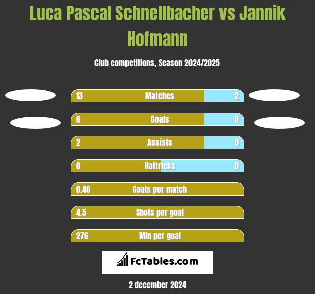 Luca Pascal Schnellbacher vs Jannik Hofmann h2h player stats