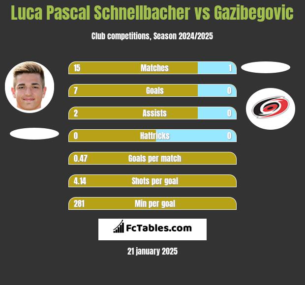 Luca Pascal Schnellbacher vs Gazibegovic h2h player stats