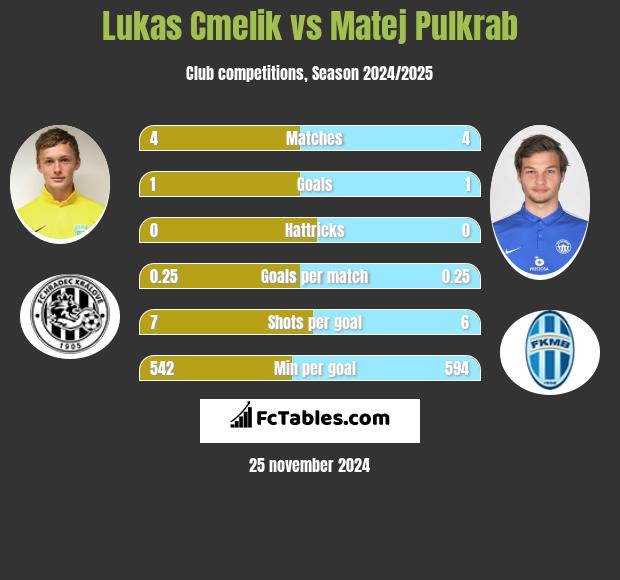 Lukas Cmelik vs Matej Pulkrab h2h player stats