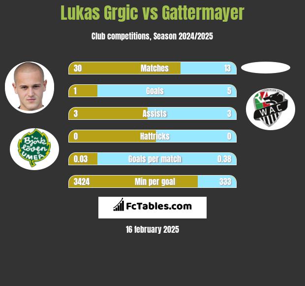 Lukas Grgic vs Gattermayer h2h player stats