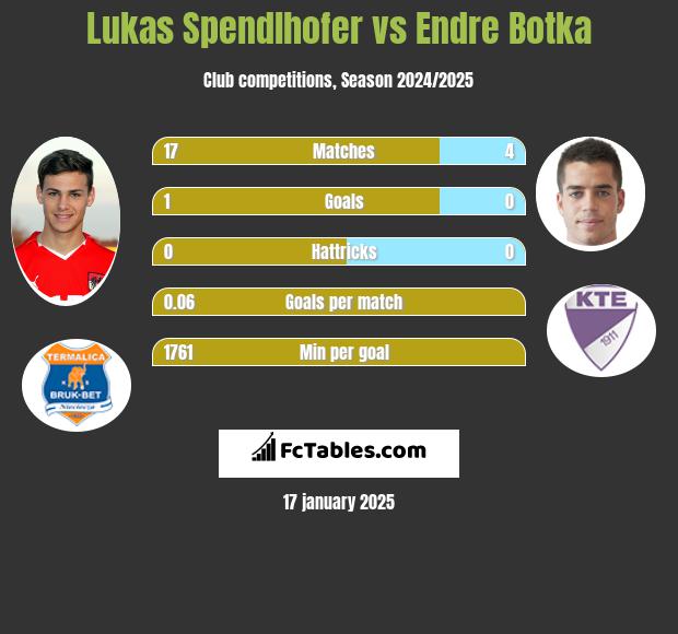 Lukas Spendlhofer vs Endre Botka h2h player stats