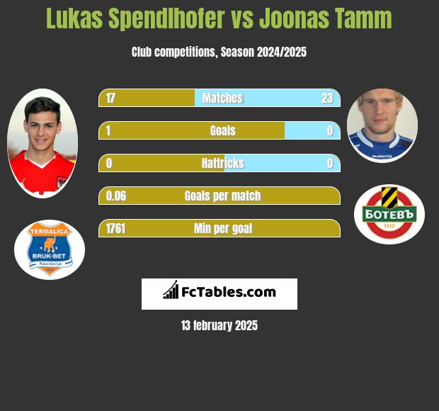 Lukas Spendlhofer vs Joonas Tamm h2h player stats