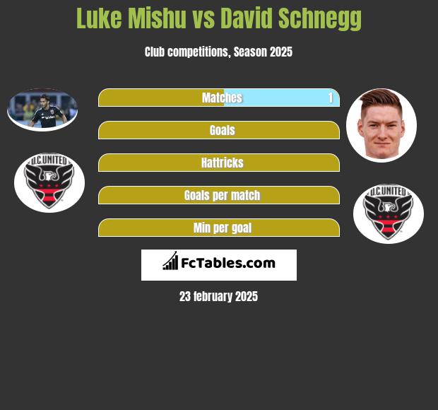 Luke Mishu vs David Schnegg h2h player stats