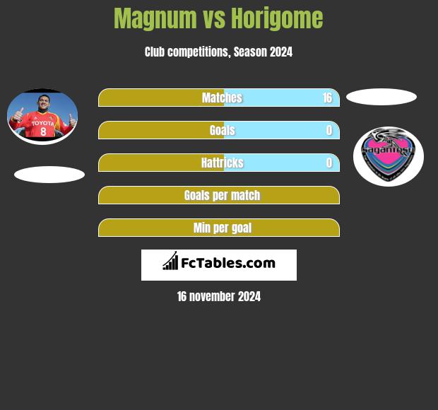 Magnum vs Horigome h2h player stats