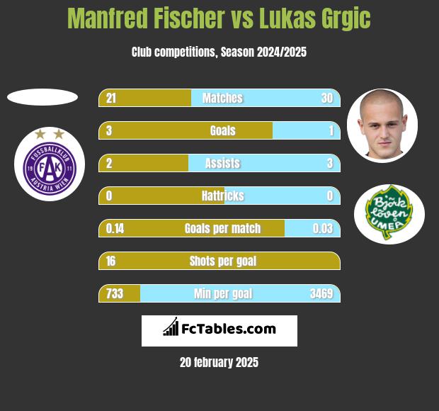 Manfred Fischer vs Lukas Grgic h2h player stats