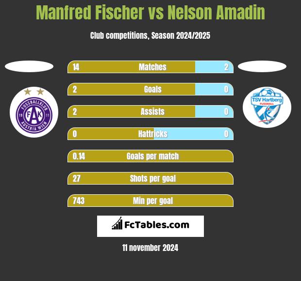 Manfred Fischer vs Nelson Amadin h2h player stats