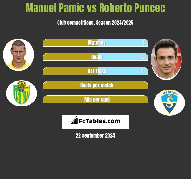 Manuel Pamic vs Roberto Puncec h2h player stats