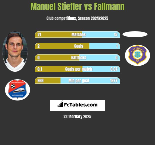 Manuel Stiefler vs Fallmann h2h player stats