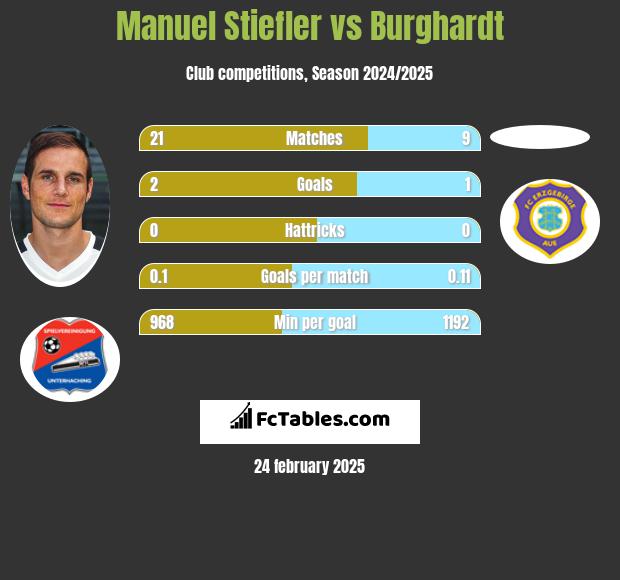 Manuel Stiefler vs Burghardt h2h player stats