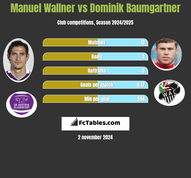 Manuel Wallner vs Dominik Baumgartner h2h player stats