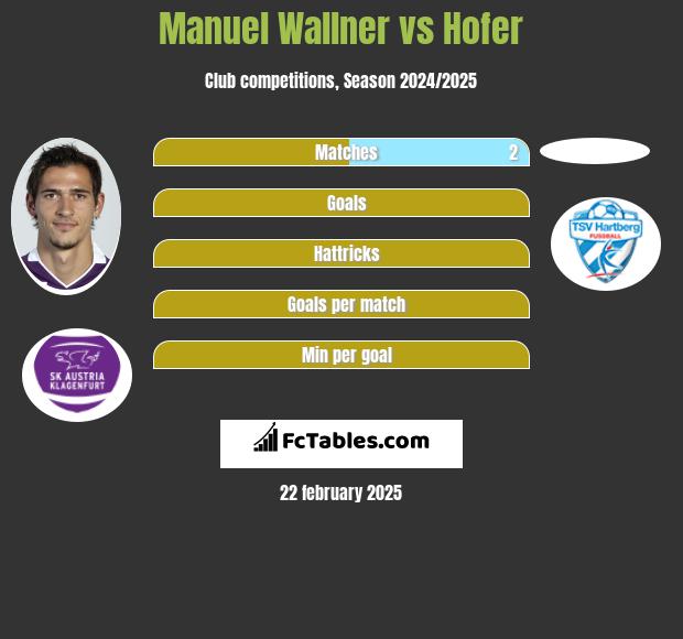 Manuel Wallner vs Hofer h2h player stats