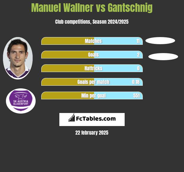 Manuel Wallner vs Gantschnig h2h player stats