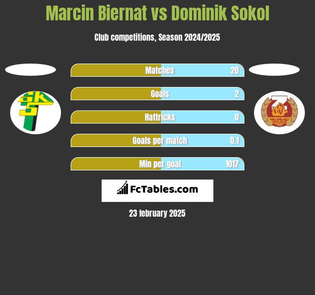 Marcin Biernat vs Dominik Sokol h2h player stats