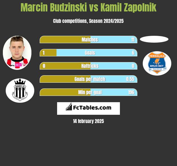 Marcin Budziński vs Kamil Zapolnik h2h player stats