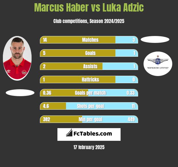 Marcus Haber vs Luka Adzic h2h player stats