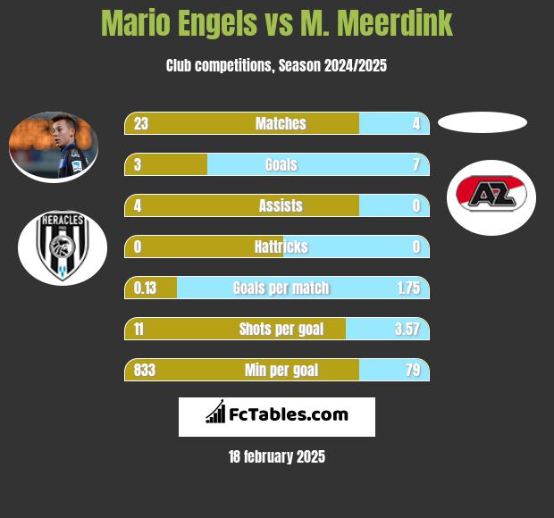 Mario Engels vs M. Meerdink h2h player stats