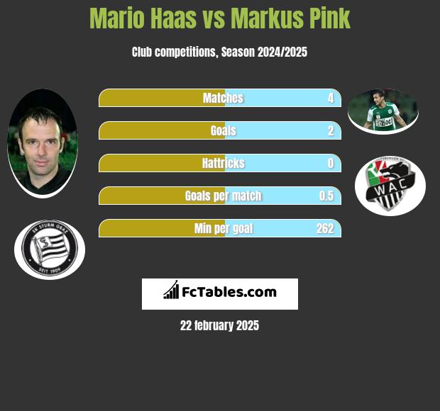 Mario Haas vs Markus Pink h2h player stats