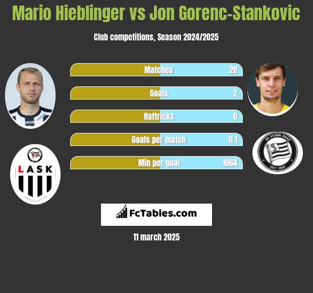 Mario Hieblinger vs Jon Gorenc-Stankovic h2h player stats