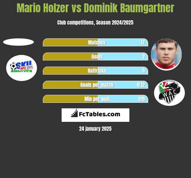 Mario Holzer vs Dominik Baumgartner h2h player stats