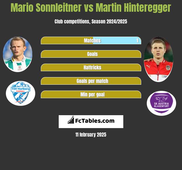 Mario Sonnleitner vs Martin Hinteregger h2h player stats