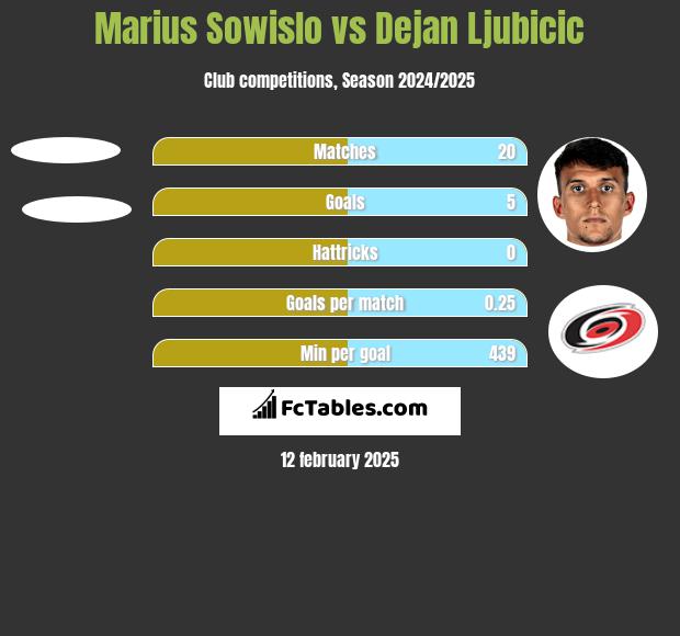 Marius Sowislo vs Dejan Ljubicic h2h player stats