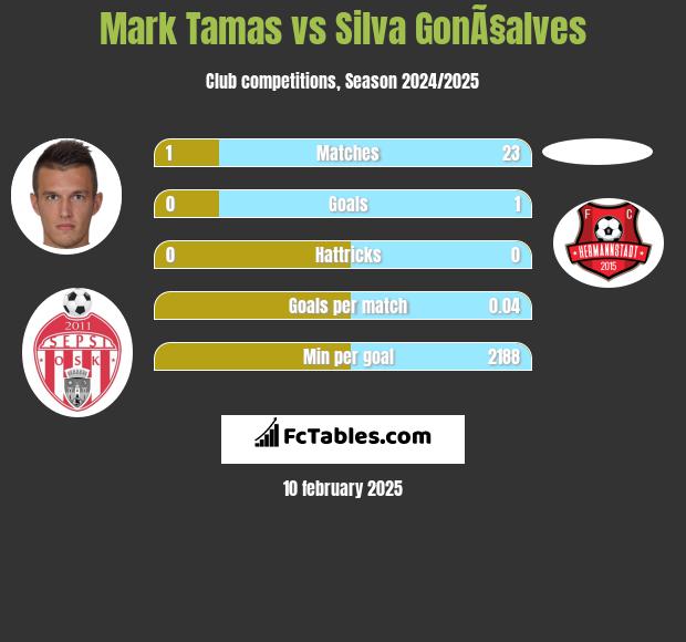 Mark Tamas vs Silva GonÃ§alves h2h player stats