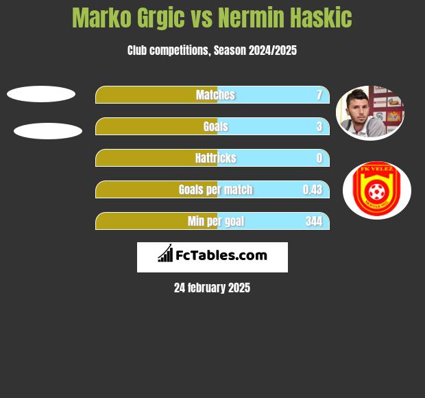 Marko Grgic vs Nermin Haskic h2h player stats