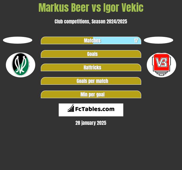 Markus Beer vs Igor Vekic h2h player stats